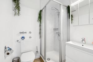 Schneerosenblüte Steibis mit O Plus