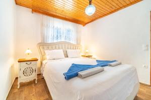 Captain Spiros House