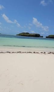 Majestik palms beach appartments