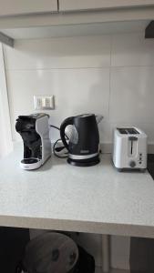 Departamento Villarrica orilla Río Toltén