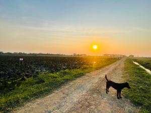 The Sanctuary Homestay