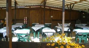 ZEcamping 4 animaux acceptés avec piscine couverte et restaurant