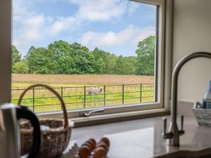 3 Bed in York oc-89538