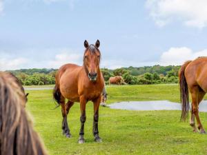 4 Bed in Salisbury oc-82799