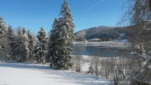 Ferienhaus am Titisee - mit Seeblick & eigenem Seezugang, Hinterzarten