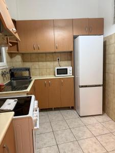 Spacious Two-Bedroom Apartment, Short Walk to Neos Kosmos Metro Station