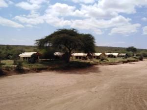 Tarpo Luxury Camping