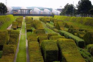 New! Modern 3BR Silvertown House with Garden