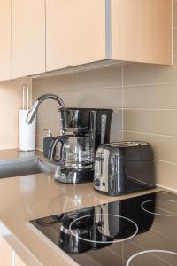 Paradise Birds 1 Bedroom Condo in Downtown Toronto