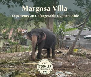 Margosa villa