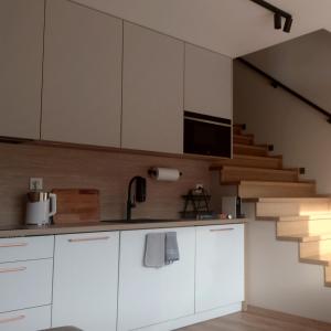 Black Hill GINGER apartament z sauną