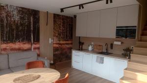 Black Hill GINGER apartament z sauną