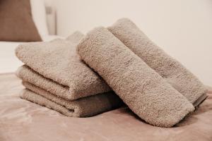 Setagaya Quiet Residential Apartment203