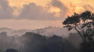 Casa Rio Tortuga - Colibri