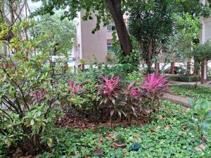 4 quartos amplo Carnaval Ondina 2026