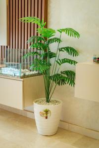 Studio Balcony Netflix, Near CFC, Parking