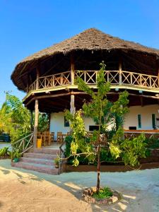 Nilio Explorer & Lodge