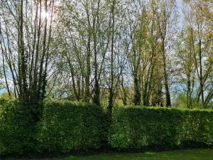 Huis aan Puyenbroeck