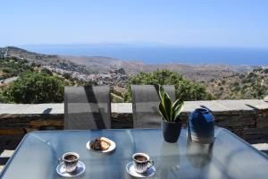 Cycladic Villa with sea view!