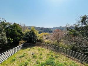 HIKE Hayama愛犬と過ごす葉山のマウンテンビュー大人定員4名