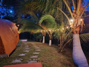 Cabañas The Route Capira