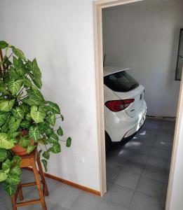 The Palm HouseBoutique apartment