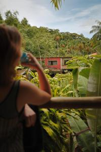 Eco Hostel Organic Life
