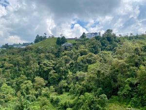 Apto nuevo, tranquilo y central