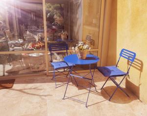 Palmiers en couleurs