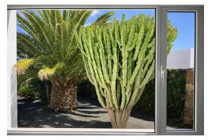 Villa Infinity Exclusive