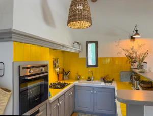 Provençal Cottage Among The Vineyards