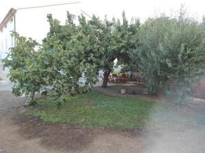 La Lenzerina Casa indipendente con giardino