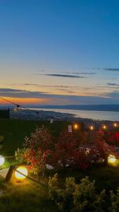 Sapanca Liva Bungalov