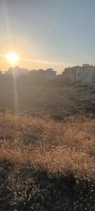 Apartament La Mata -Maya Bungalow