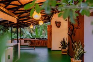 Mango Tree House