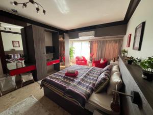 Deluxe Apartment Partial Nile View