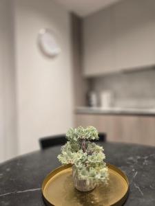 Haustory Deluxe Apartment