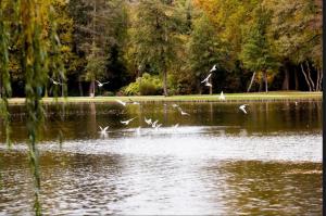 Ruime suite met privé ingang en badkamer