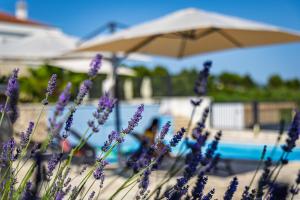 Camp Panorama Plus with Pool