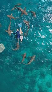 Raalhu Fonu Maldives