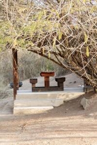 De Dek Venue & Accommodation