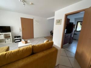 Strandnaher Urlaub mit Hund am Steinhuder Meer