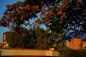 Casa en Laureles Estadio amplia y cómoda