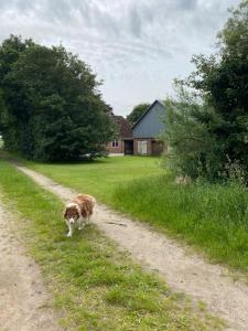 Bondegårdsferie med fiskemuligheder