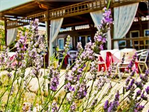 Hotel Miramare img32