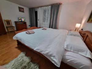 Pensiunea Casa Bradet