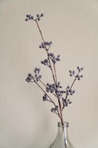 Appartement Senang, Resort Amelander Kaap