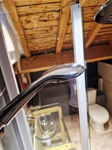 Atypical in Gérardmer center lake & mountain 8 pers