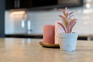 Cozy and central apartment