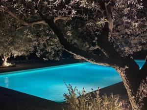 Mobil Home Confortable avec Terrasse pour 8 Personnes - API-1-52-1164